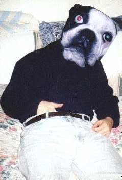 Pug Lee